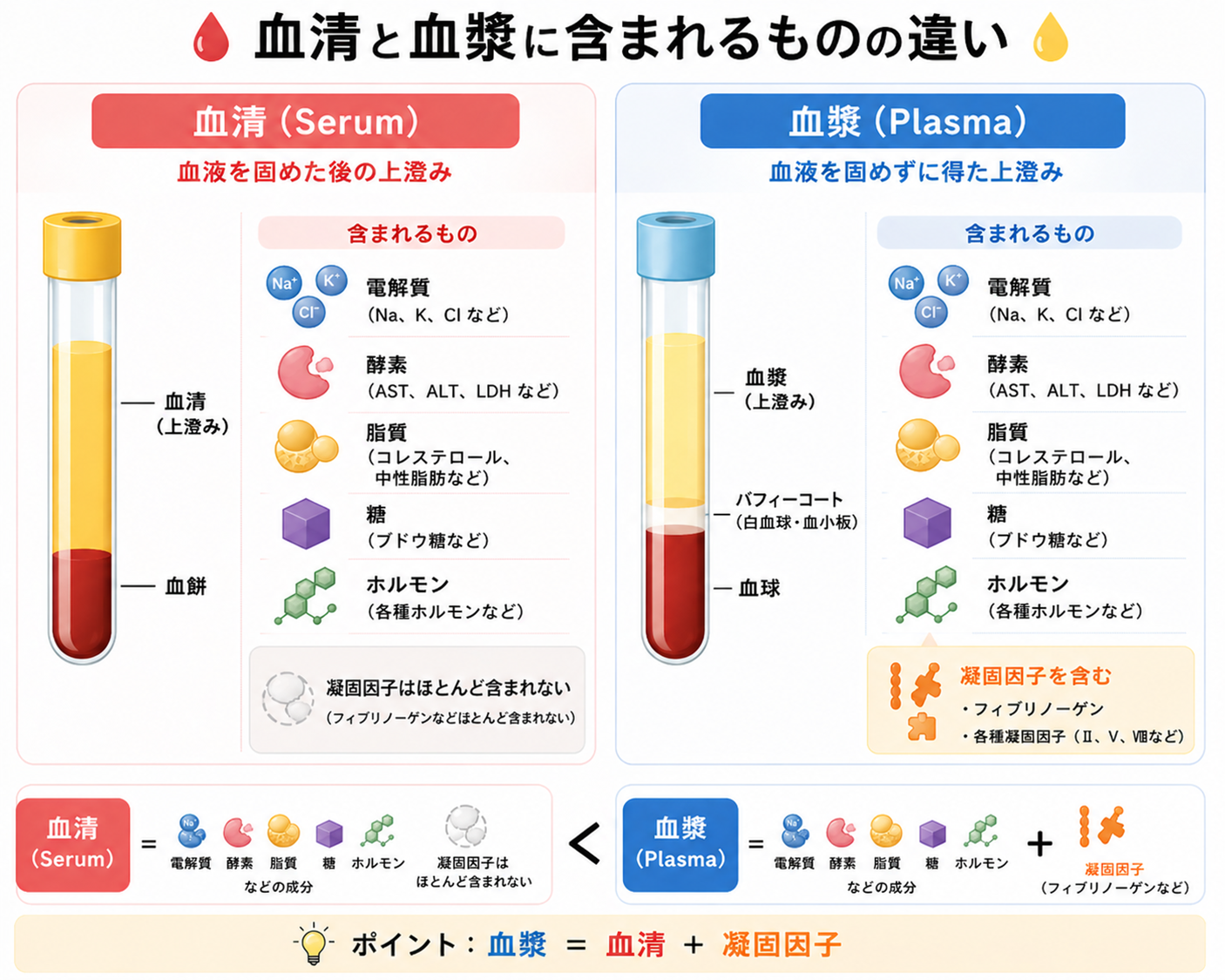 血清と血漿の違いとは?|全血・採血管・分画までわかりやすく解説 | 現場で使える 理系実務のやさしい基礎講座